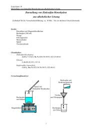 Darstellung von Zinksulfat-Monohydrat - Chemie und ihre Didaktik ...