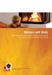 Richtig Heizen mit Holz - Energie Tirol