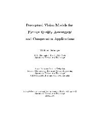 Perceptual Vision Models for Picture Quality Assessment and ...