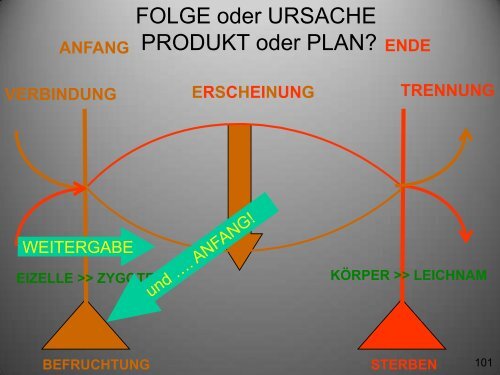 PDF-Datei (14,6 MB) - Osteopathie-Schule Deutschland