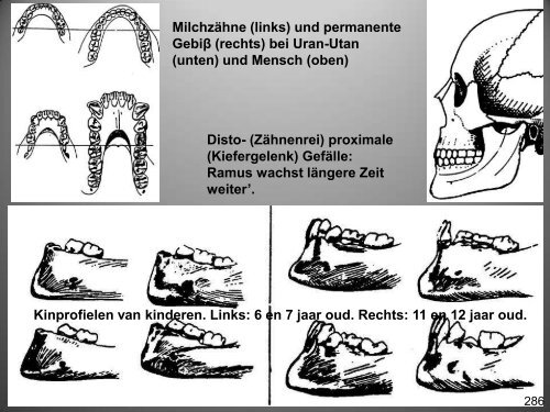 PDF-Datei (14,6 MB) - Osteopathie-Schule Deutschland