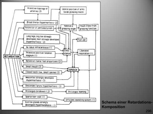 PDF-Datei (14,6 MB) - Osteopathie-Schule Deutschland