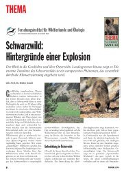 THEMA Schwarzwild: Hintergründe einer Explosion - Weidwerk