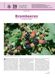 Brombeeren - Biologische Schutzgemeinschaft Hunte Weser-Ems e.V.