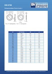 DIN 6798 - BV Bohrenfeldt Gmbh