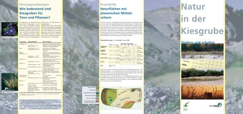 Natur in der Kiesgrube - Stiftung Landschaft und Kies