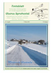 Amtsblatt Oberes Sprottental vom Februar 2013 - in Nöbdenitz!