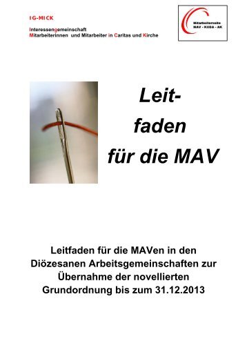 MAV-Leitfaden - DIAG MAV