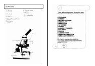 PDF Das Mikroskop Juli 07 - schulebauma.ch
