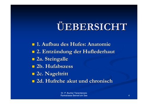 1. Einleitung und Anatomie - Tierarztpraxis Dr. Pascal Bucher und ...