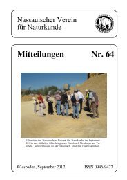 Mitteilungen 64 - Nassauischer Verein für Naturkunde