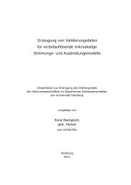 pdf-file - Meteorologisches Institut, Universität Hamburg