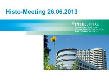 Histo-Meeting 26.06.2013