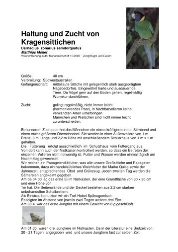 Haltung und Zucht von Kragensittichen - Vogelzuchtgrabow.de