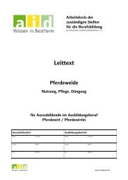 aid-Leittext: Pferdeweide