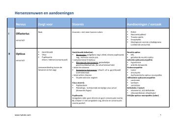 Hersenzenuwen en aandoeningen