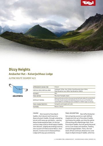 Dizzy Heights