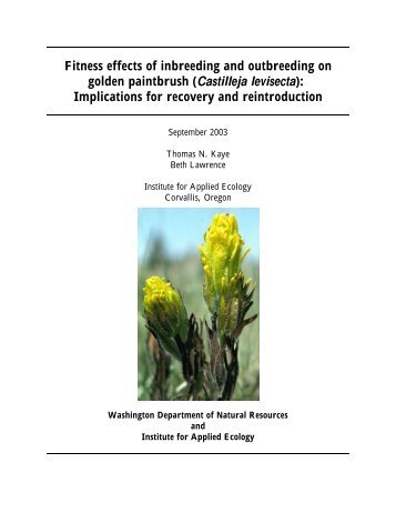 Fitness effects of inbreeding and outbreeding on golden paintbrush ...