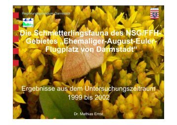Die Schmetterlingsfauna des NSG/FFH- Gebietes „Ehemaliger ...