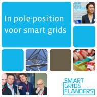 In pole-position voor smart grids