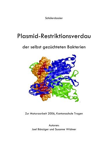 Plasmid-Restriktionsverdau der selbst gezüchteten Bakterien
