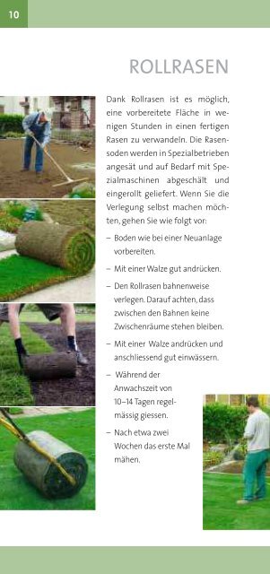 Die Schweizer Profi-Tipps lebendiger Teppich - Roth Pflanzen AG