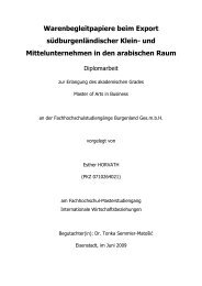 und Mittelunternehmen in den arabischen Raum - IT-Services