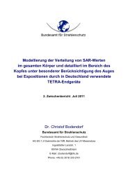 Modellierung der Verteilung von SAR-Werten im gesamten Körper und