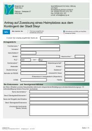 PDF-Formular - Steyr