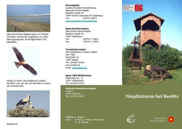 Nieplitzturm bei Beelitz - Naturpark Nuthe-Nieplitz