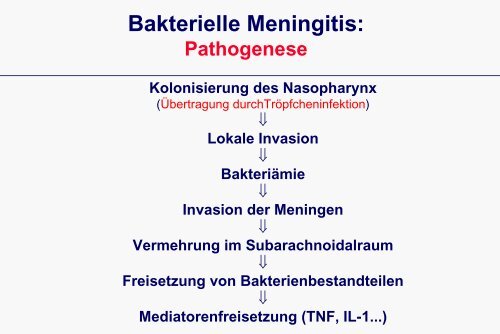 Vorlesung-Infektiologie Meningitis - Universität zu Köln