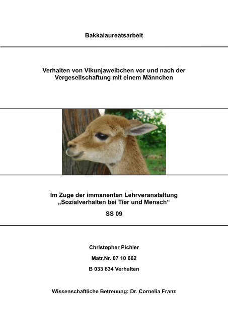 Bakkalaureatsarbeit Verhalten von Vikunjaweibchen vor und nach ...