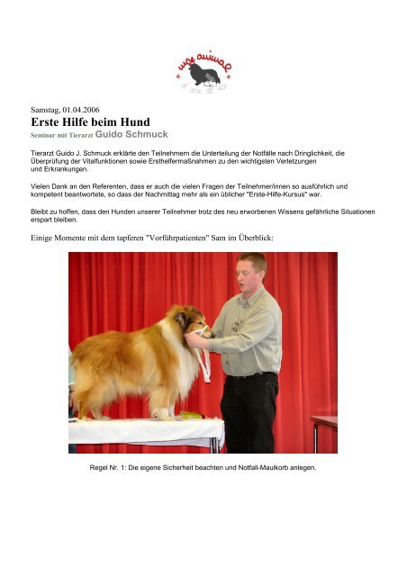 Erste Hilfe beim Hund - My Animal Info