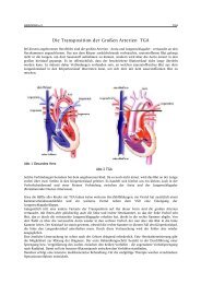 Die Transposition der Großen Arterien (TGA) - bei Herzkind