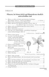TABELLE III Pflanzen, bei denen Kelch und Blumenkrone deutlich ...