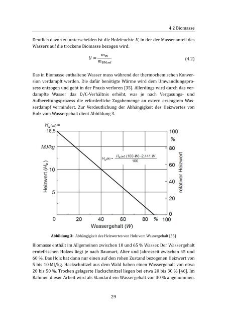 Thermochemische Herstellung von Wasserstoff aus Biomasse unter ...