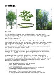 Moringa-Allgemeine zusammmengetragene Info´s - Novertis