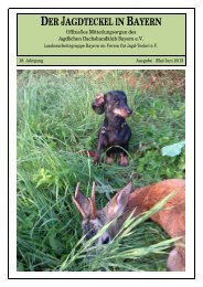 Der Jagdteckel in Bayern 2013-III - Jagdlicher Dachshundklub ...