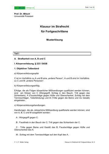 anklageschrift 223 stgb