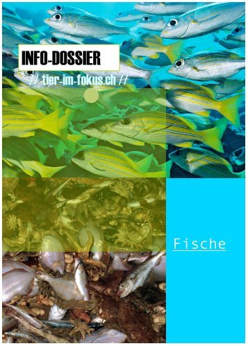 Broschüre - Tier-im-Fokus.ch