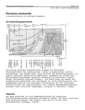 Semesterarbeit an der Naturheilpraktiker-Schule Paramed, Skript ...