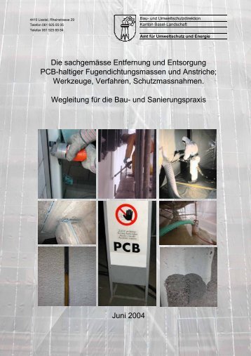 Die sachgemässe Entfernung und Entsorgung PCB ... - Leupro