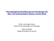 Pharmakologische Beeinflussung von Erkrankungen der Niere, des ...