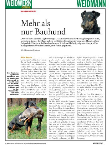 Deutsche Jagdterrier - Weidwerk