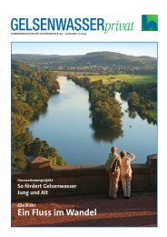 Kundenmagazin Wasser, Ausgabe 2/2009 (PDF ... - Gelsenwasser AG