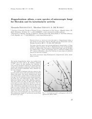 Engyodontium album, a new species of ... - Biologia, Bratislava