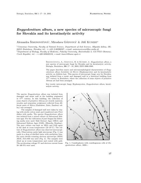 Engyodontium album, a new species of ... - Biologia, Bratislava