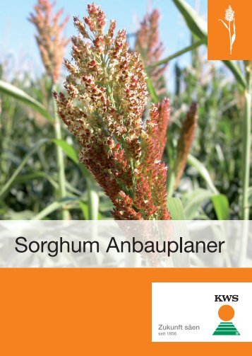 Sorghum Anbauplaner - KWS Saat AG