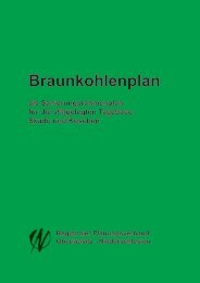 Braunkohlenplan als Sanierungsrahmenplan für die stillgelegten ...