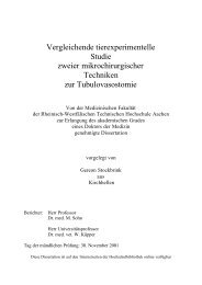 Thesis - RWTH Aachen University